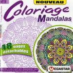 International Blog 5-5