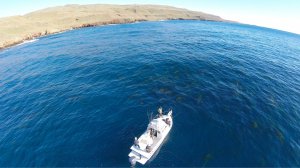 The Bight, here we come...