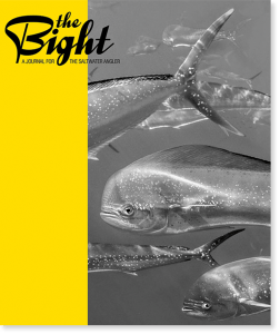 bight_cover_grande