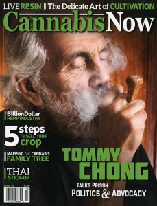 Cannabis Now 1-1