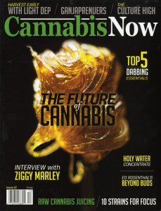 Cannabis Now 2-2
