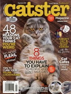 Catster-20 (2)