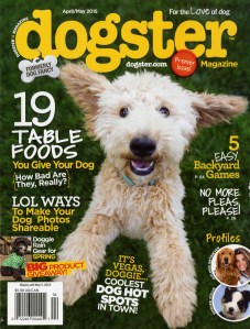 Dogster-29 (2)