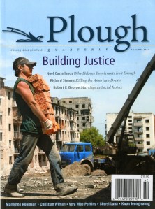 Plough-30 (2)